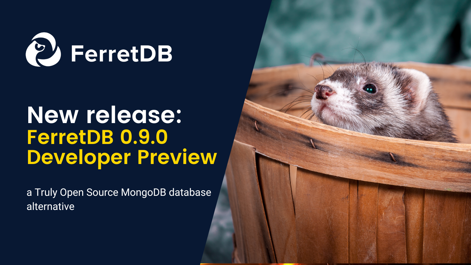 FerretDB v0.9.0 - Developer Preview