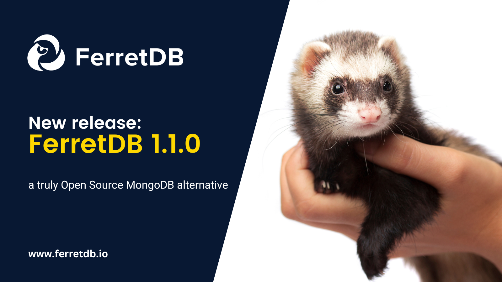 FerretDB v.1.1.0