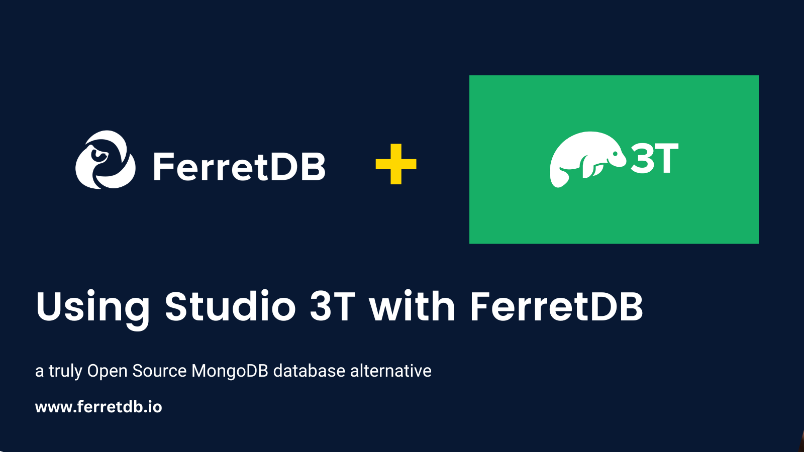 Using FerretDB with Studio 3T