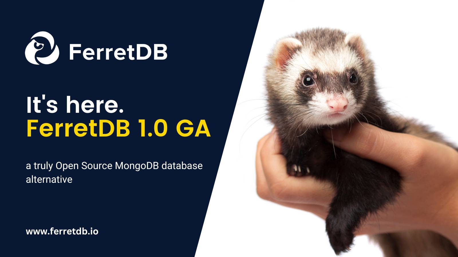 Announcing FerretDB 1.0 GA - MongoDB compatibility