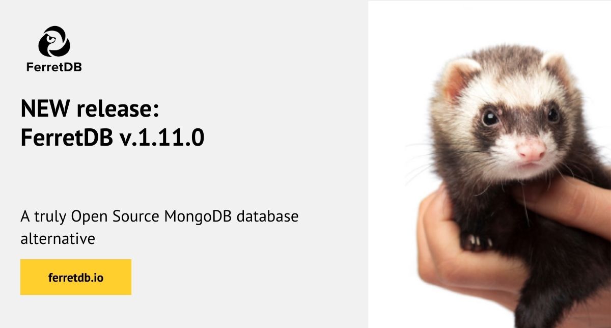 FerretDB v1.11.0 - new release