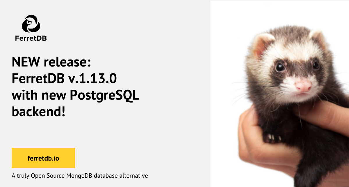 FerretDB v.1.13.0 - new release with new PostgreSQL backend